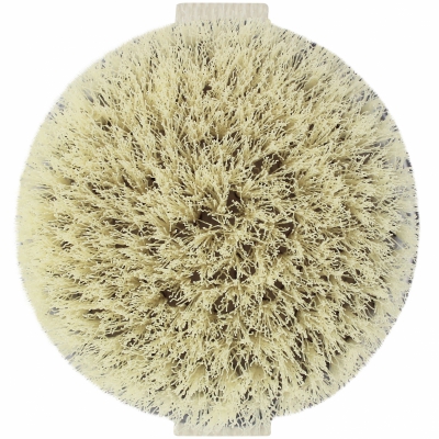 EcoTools Dry Body Brush