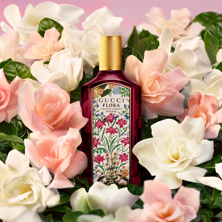 Flora Gorgeous Gardenia Intense