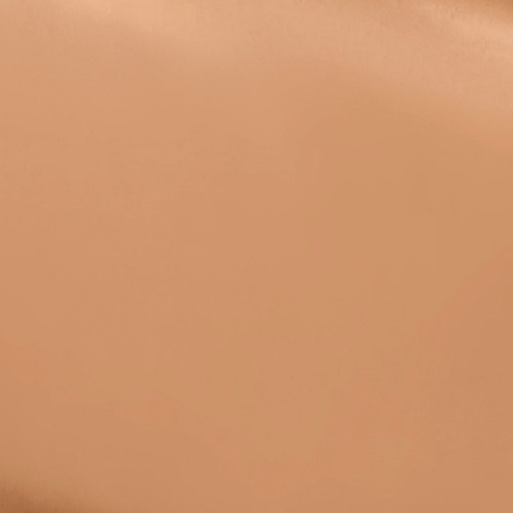 The No Compromise 2-in-1 Soft-Matte Foundation & Concealer