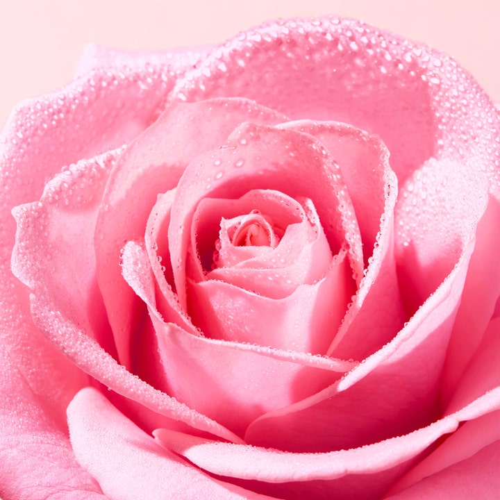 Very Rose Cleansing Foam
