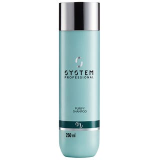 System Professional Purify Shampoo