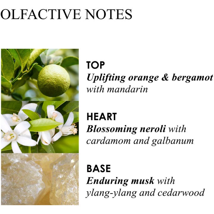 Luxury Scented Candle