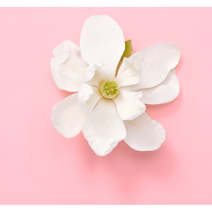 Flora Gorgeous Jasmine