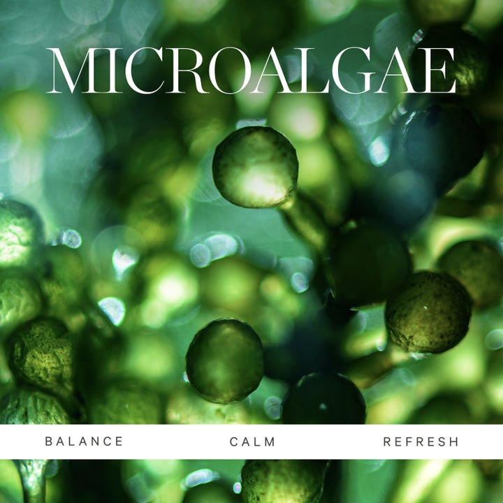 Active Algae Minty Mist