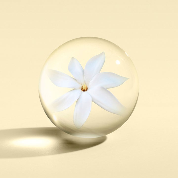 Flora Luminare